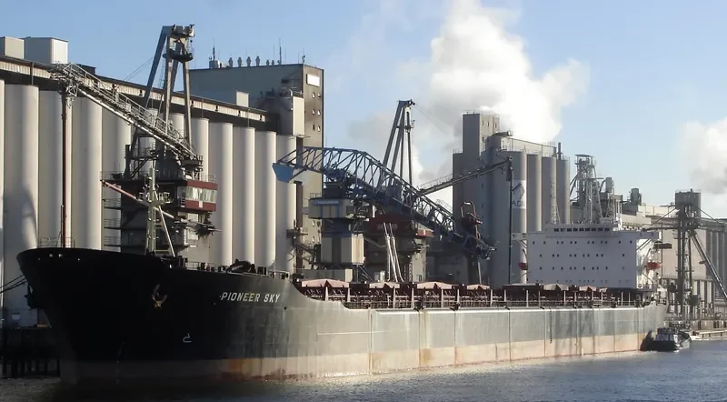 PIONEER SKY Bulk Carrier IMO 8026177