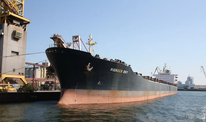 PIONEER SKY Bulk Carrier IMO 8026177 photo 2