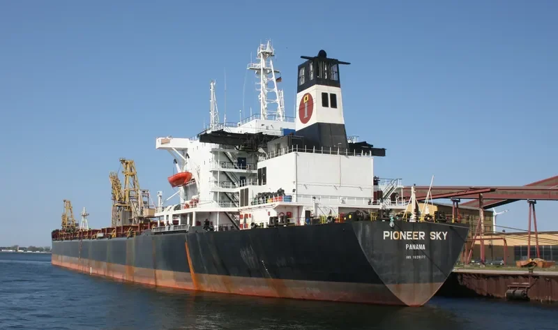 PIONEER SKY Bulk Carrier IMO 8026177 photo 3