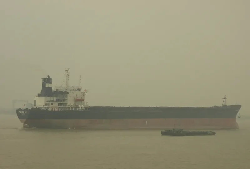 PIONEER SKY Bulk Carrier IMO 8026177 photo 4