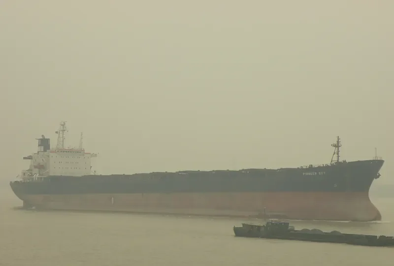 PIONEER SKY Bulk Carrier IMO 8026177 photo 5