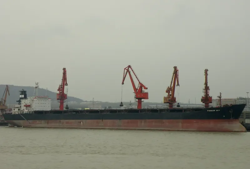 PIONEER SKY Bulk Carrier IMO 8026177 photo 6