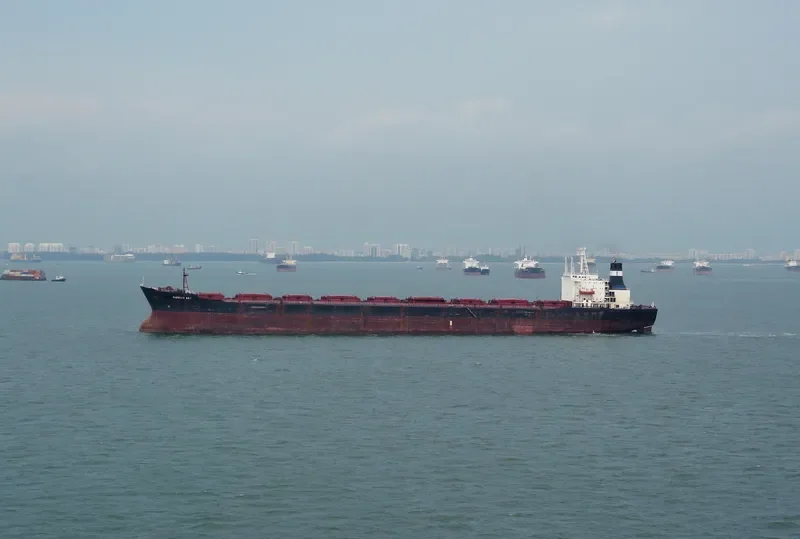 PIONEER SKY Bulk Carrier IMO 8026177 photo 7