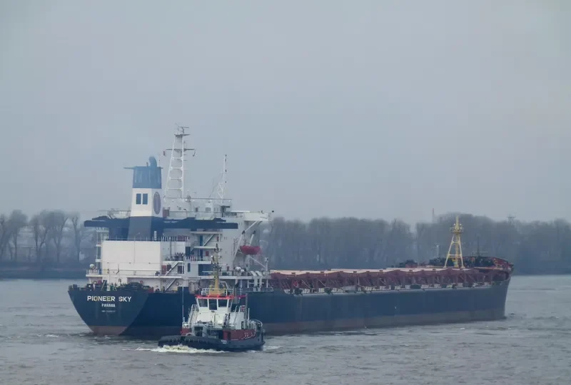 PIONEER SKY Bulk Carrier IMO 8026177 photo 8