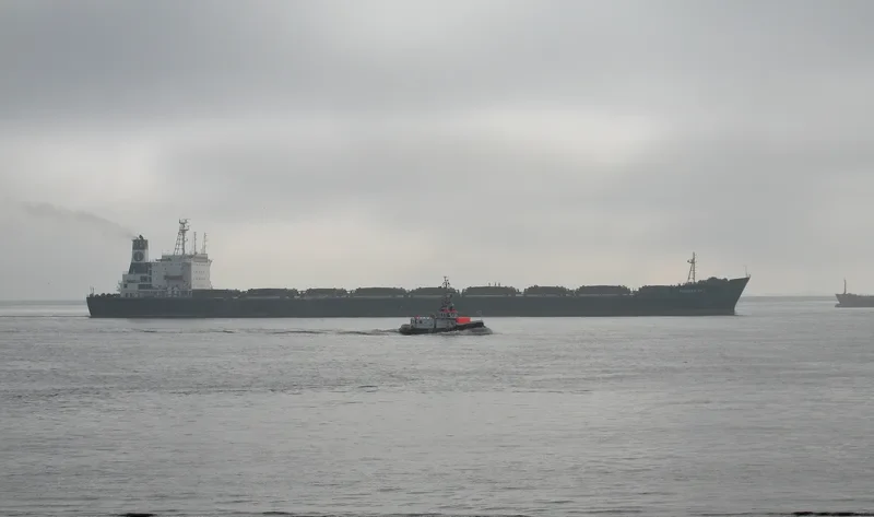 PIONEER SKY Bulk Carrier IMO 8026177 photo 9