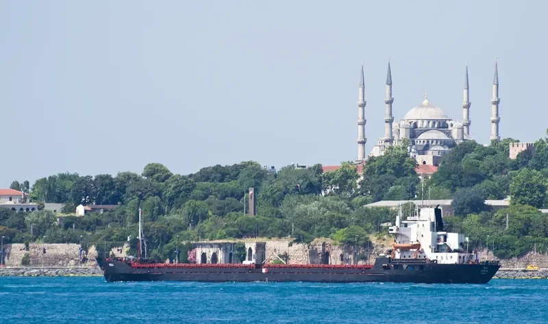 IRIDA General Cargo IMO 8026634 photo 2