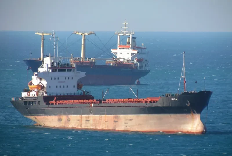 IRIDA General Cargo IMO 8026634 photo 5
