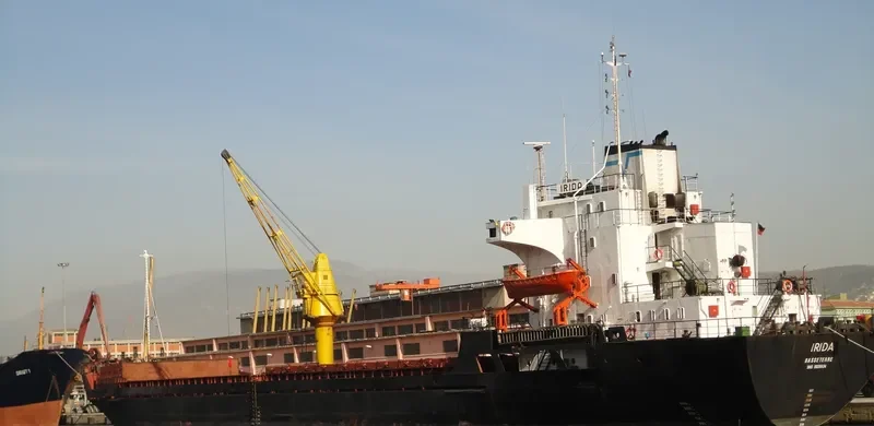 IRIDA General Cargo IMO 8026634 photo 10