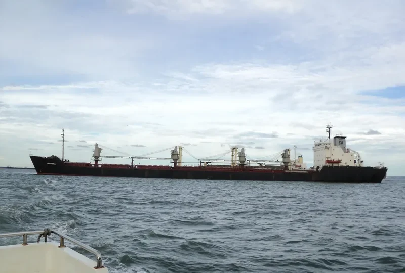 LADY SERA Bulk Carrier IMO 8026660 photo 3