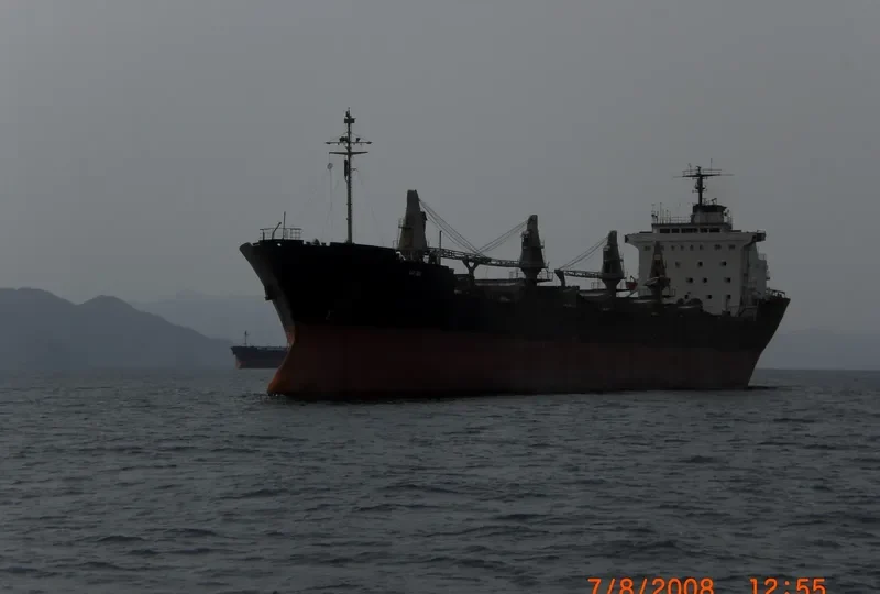 LADY SERA Bulk Carrier IMO 8026660 photo 4