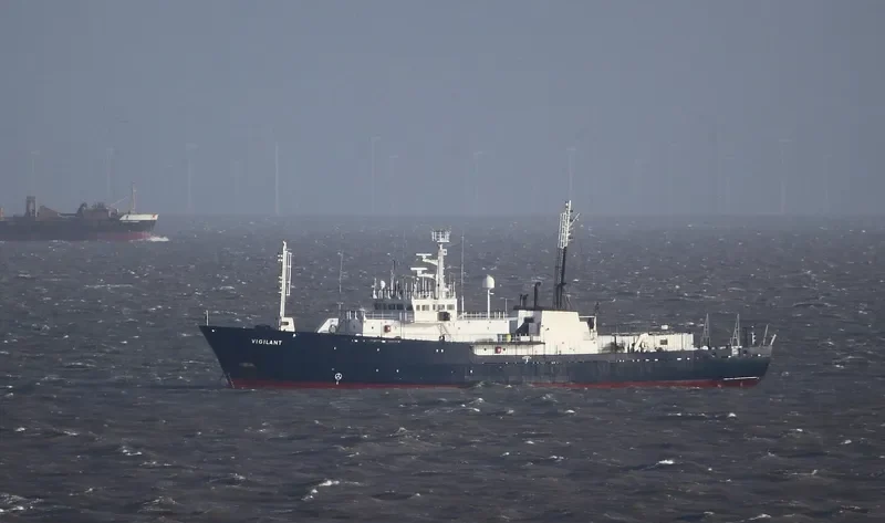 VIGILANT General Cargo IMO 8027406 photo 5