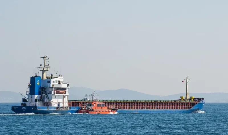 ANDA General Cargo IMO 8027638 photo 8