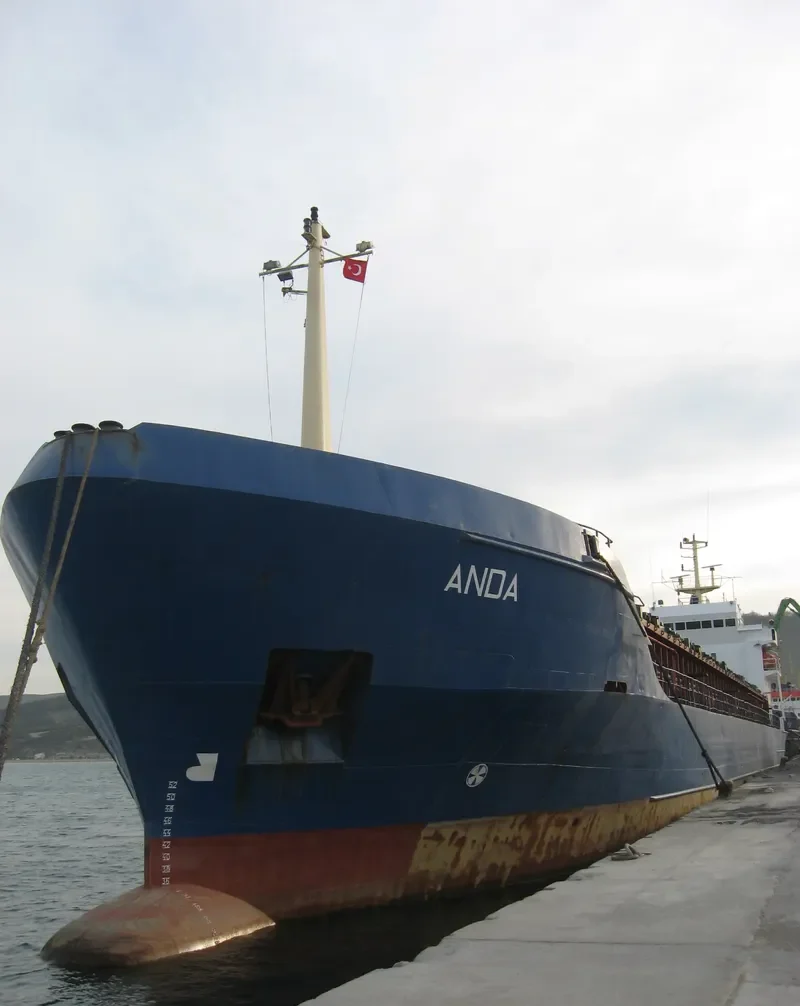 ANDA General Cargo IMO 8027638 photo 10