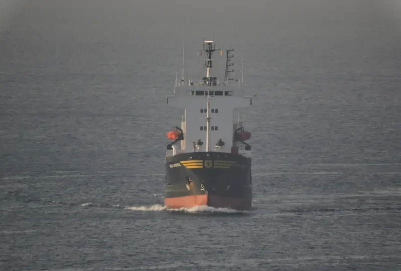 ALFA AKDENIZ Tanker IMO 8027705 photo 7