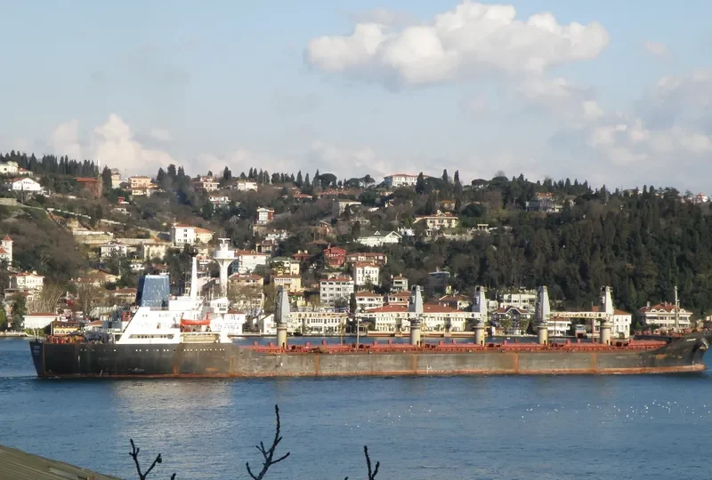 ST.PETER Bulk Carrier IMO 8027755