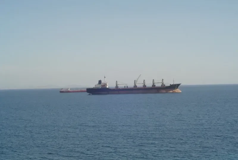 ST.PETER Bulk Carrier IMO 8027755 photo 3