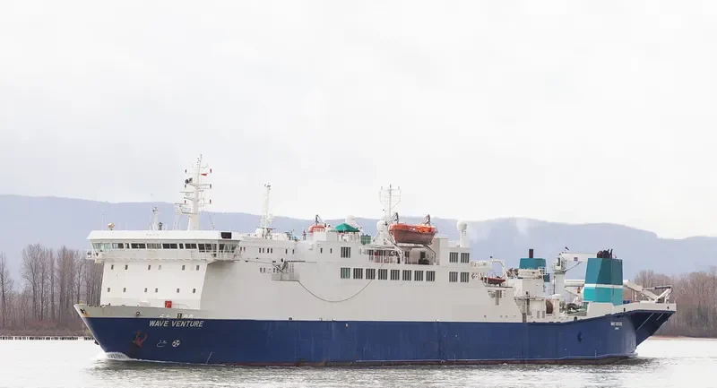 LIMIN VENTURE General Cargo IMO 8027810 photo 9