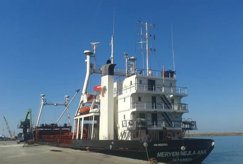 LADY SUHA General Cargo IMO 8027901