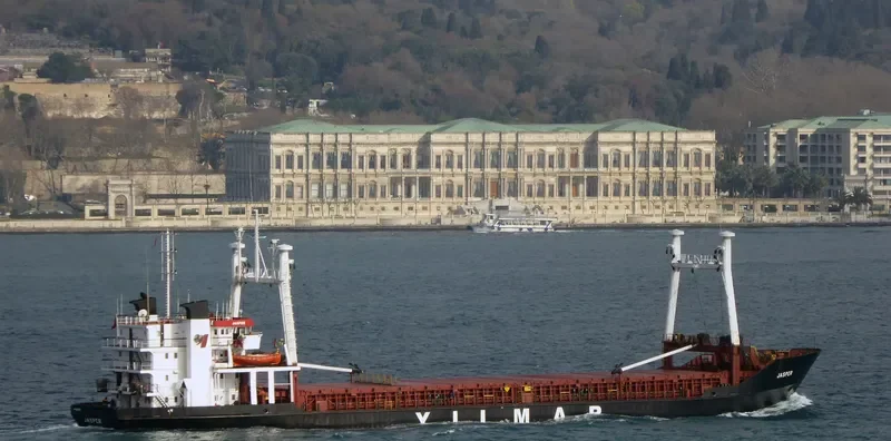 LADY SUHA General Cargo IMO 8027901 photo 8