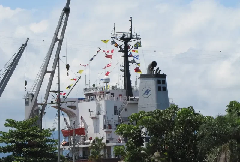 HENG SHUN DA Bulk Carrier IMO 8028864 photo 3