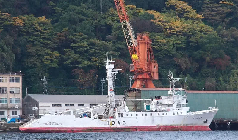 DICHA UNO General Cargo IMO 8029026