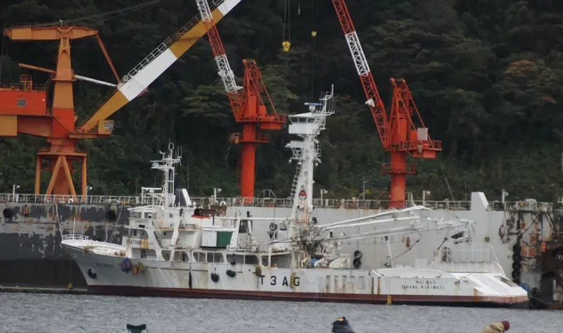 DICHA UNO General Cargo IMO 8029026 photo 3