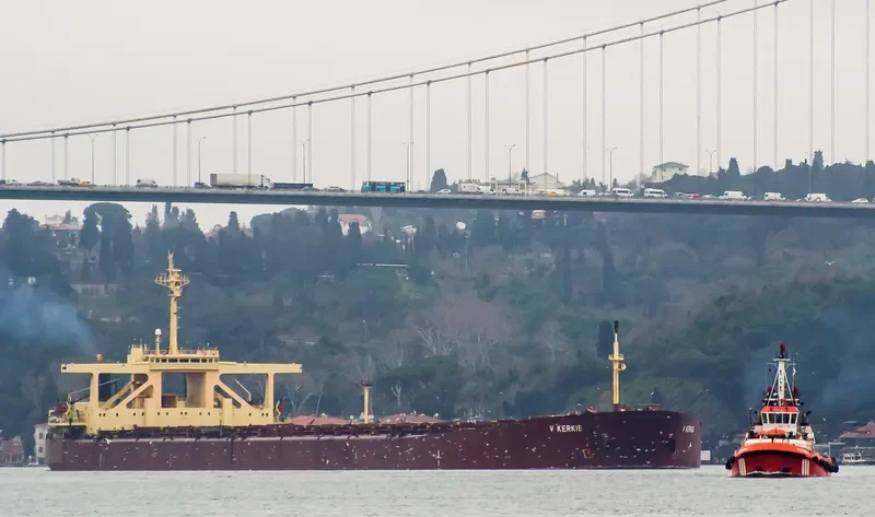 V KERKIS Bulk Carrier IMO 8029064 photo 2