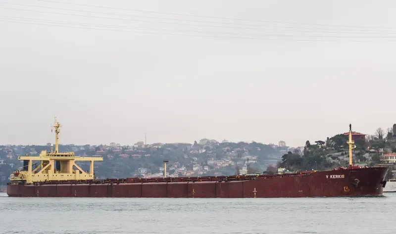 V KERKIS Bulk Carrier IMO 8029064 photo 4