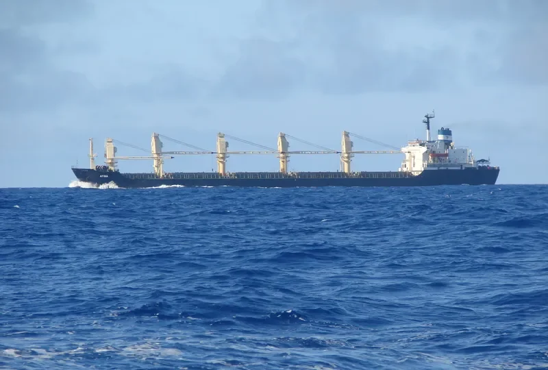 AFINA Bulk Carrier IMO 8029272 photo 2