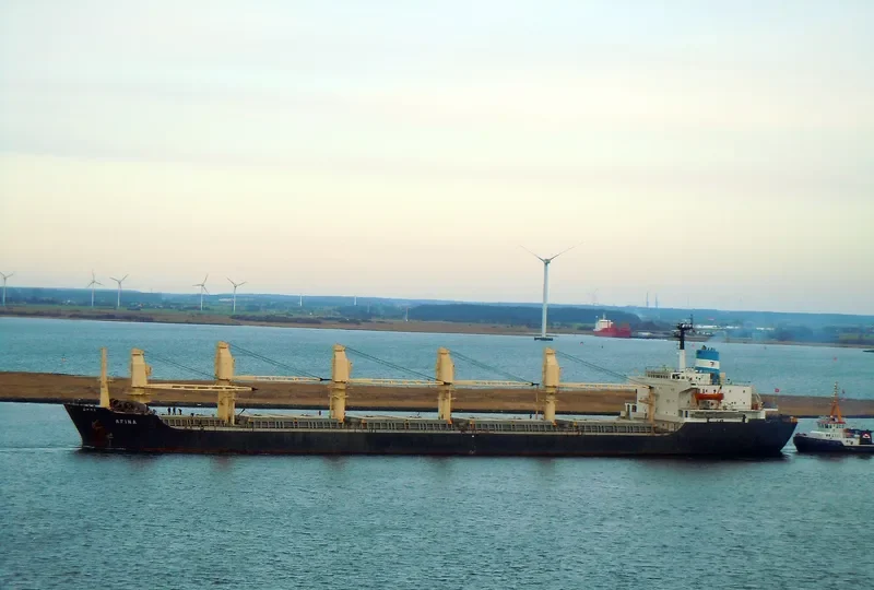 AFINA Bulk Carrier IMO 8029272 photo 3