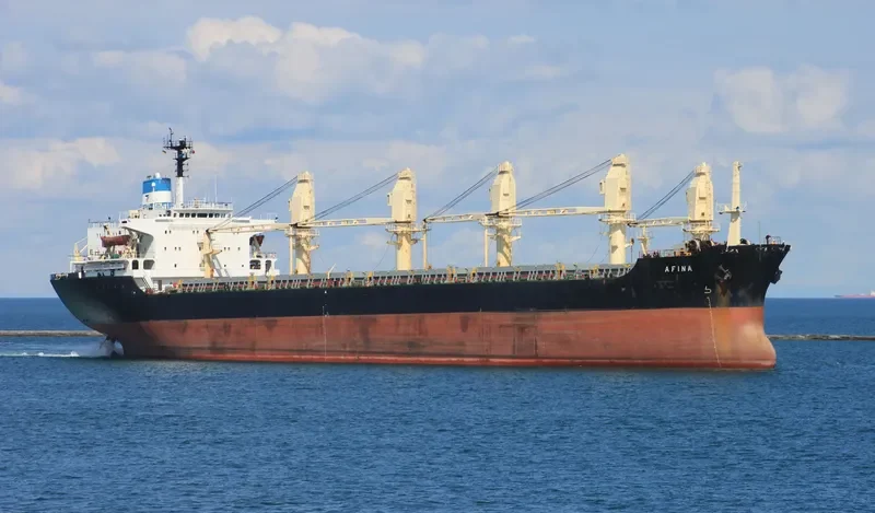 AFINA Bulk Carrier IMO 8029272 photo 5