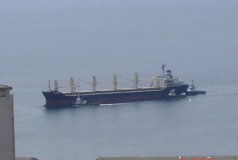 AFINA Bulk Carrier IMO 8029272 photo 6