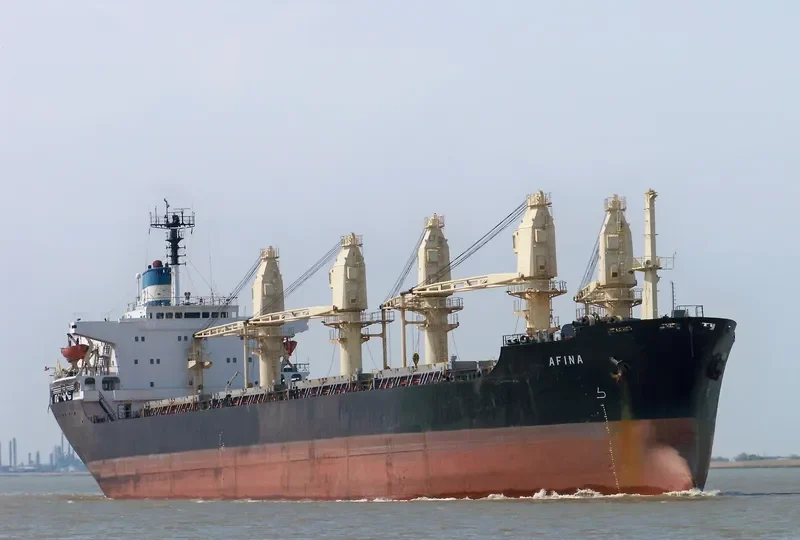 AFINA Bulk Carrier IMO 8029272 photo 8