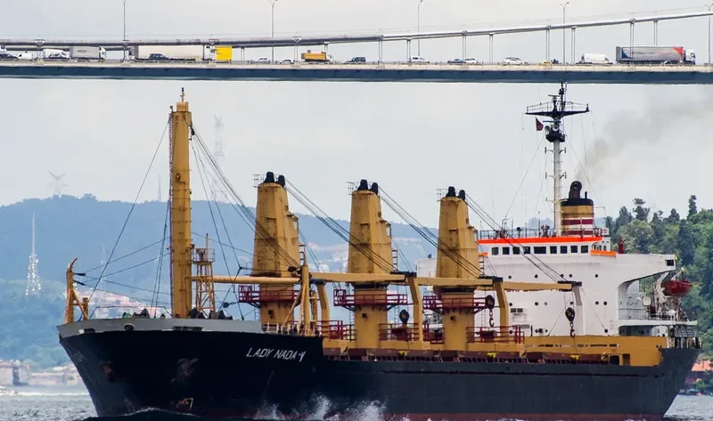 LADY NADA Y Bulk Carrier IMO 8029507 photo 3