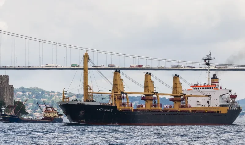 LADY NADA Y Bulk Carrier IMO 8029507 photo 4
