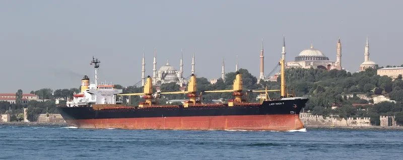 LADY NADA Y Bulk Carrier IMO 8029507 photo 6
