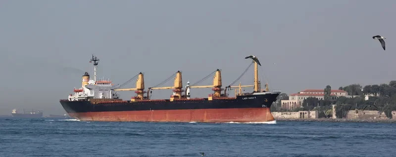 LADY NADA Y Bulk Carrier IMO 8029507 photo 7