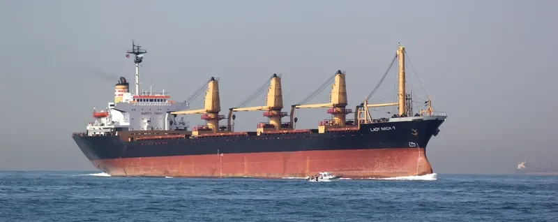 LADY NADA Y Bulk Carrier IMO 8029507 photo 8