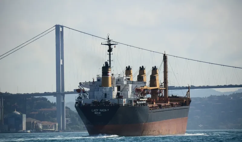 LADY NADA Y Bulk Carrier IMO 8029507 photo 9