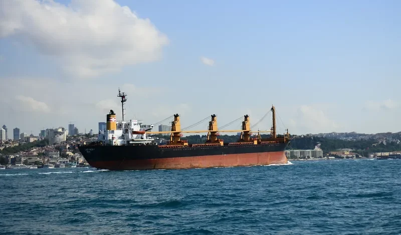 LADY NADA Y Bulk Carrier IMO 8029507 photo 10