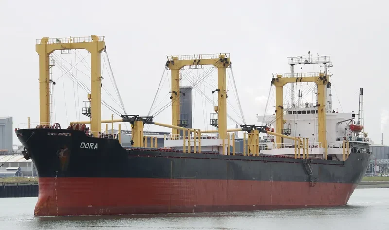 WESTERN CHARM Bulk Carrier IMO 8029636