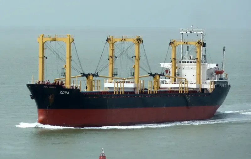 WESTERN CHARM Bulk Carrier IMO 8029636 photo 2