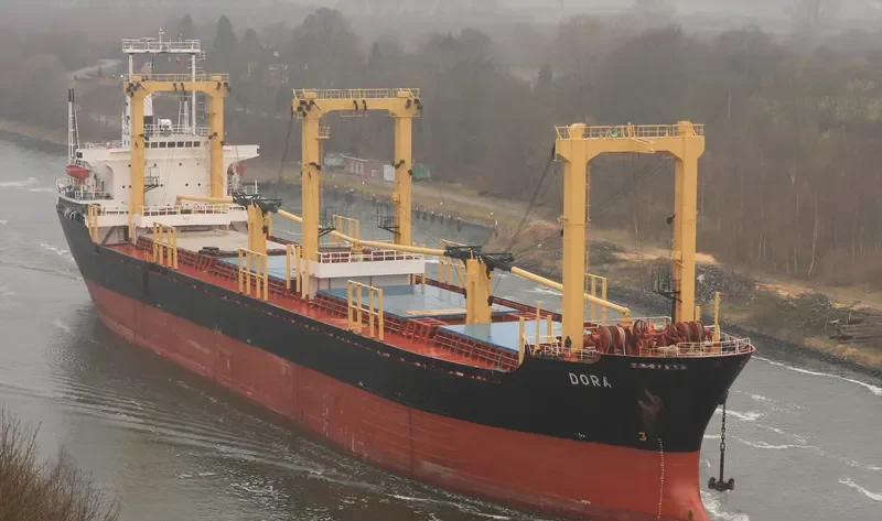 WESTERN CHARM Bulk Carrier IMO 8029636 photo 3