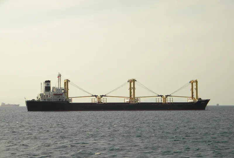 WESTERN CHARM Bulk Carrier IMO 8029636 photo 4