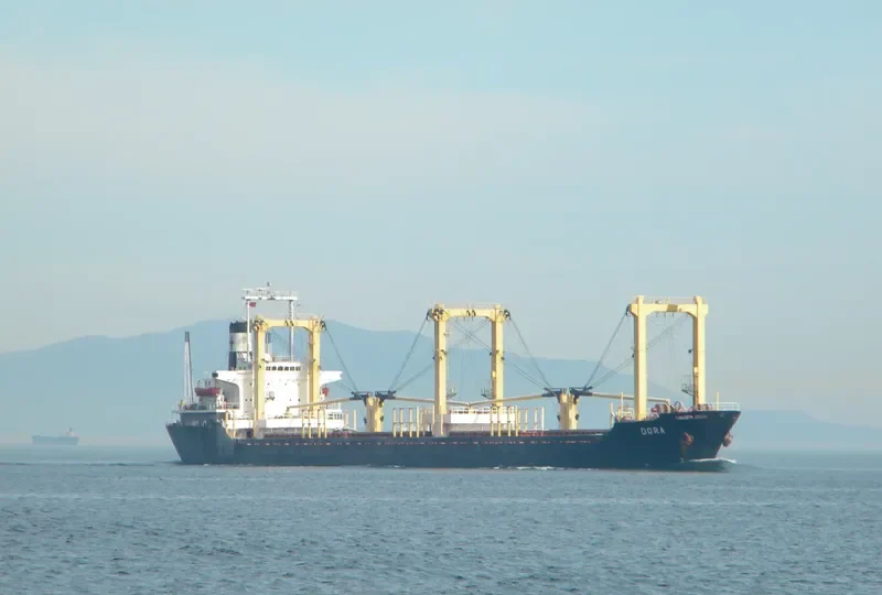 WESTERN CHARM Bulk Carrier IMO 8029636 photo 5