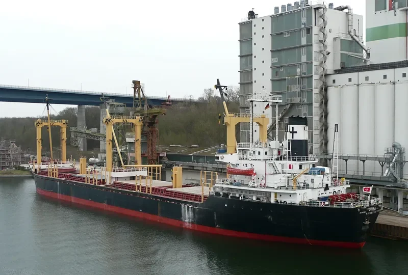 WESTERN CHARM Bulk Carrier IMO 8029636 photo 6