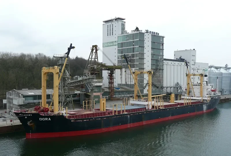 WESTERN CHARM Bulk Carrier IMO 8029636 photo 7