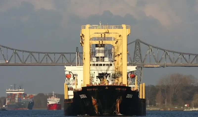 WESTERN CHARM Bulk Carrier IMO 8029636 photo 8
