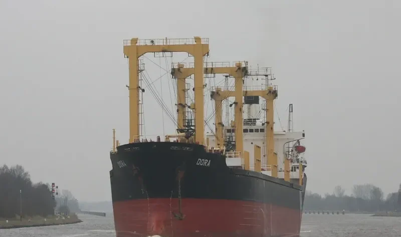 WESTERN CHARM Bulk Carrier IMO 8029636 photo 9