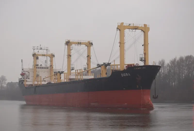 WESTERN CHARM Bulk Carrier IMO 8029636 photo 10